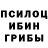 Галлюциногенные грибы Psilocybine cubensis ole4ka dior